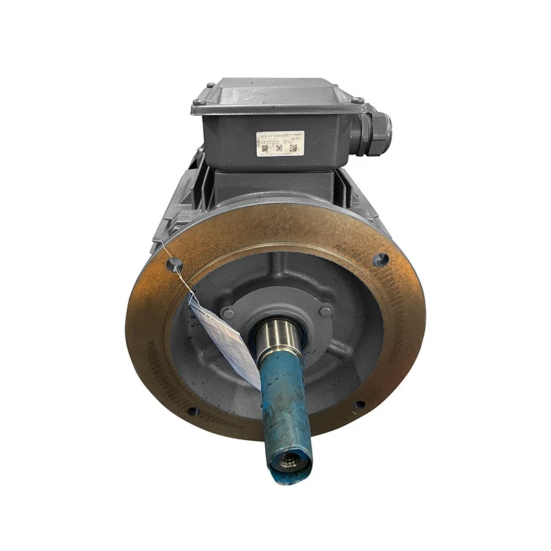 standard ac motor