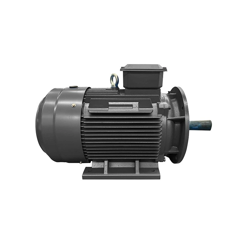 induction pump motor